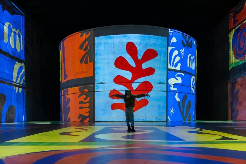 Matisse: A Symphony of Colors 3
